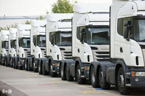 首批國(guó)產(chǎn)電動(dòng)物流車運(yùn)抵美國(guó)，技術(shù)優(yōu)勢(shì)開(kāi)啟國(guó)際化新征程